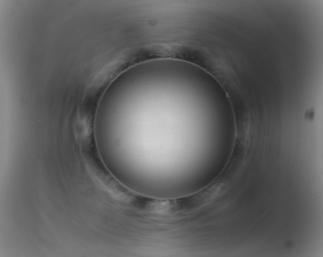 X0000113330131200909141436