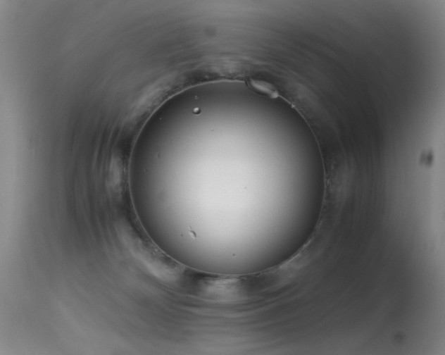 X0000113330132200909141436
