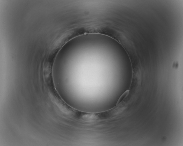 X0000113330133200909141436