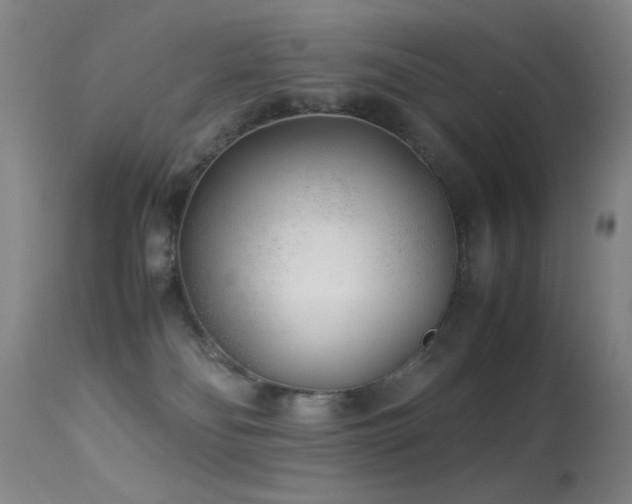 X0000113330134200909141436