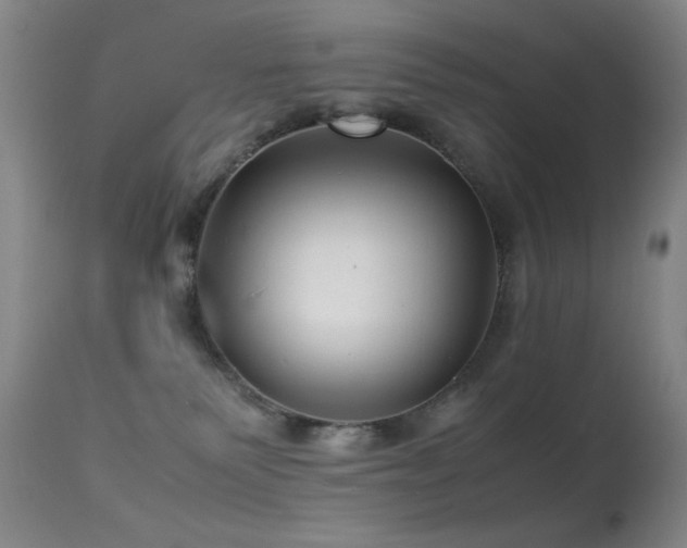 X0000113330135200909141436