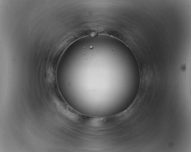 X0000113330136200909141436