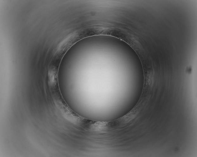 X0000113330138200909141436