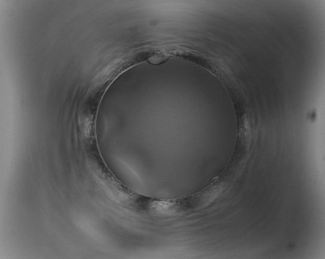 X0000113330139200909141436