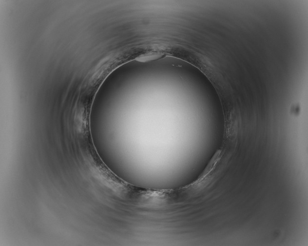 X0000113330140200909141436