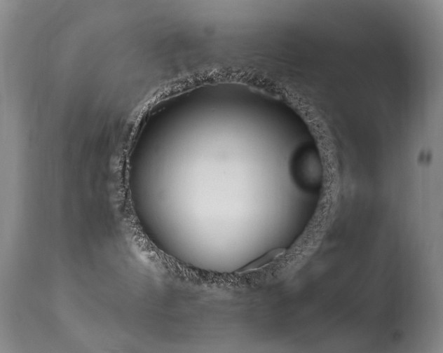 X0000113330144200909141435