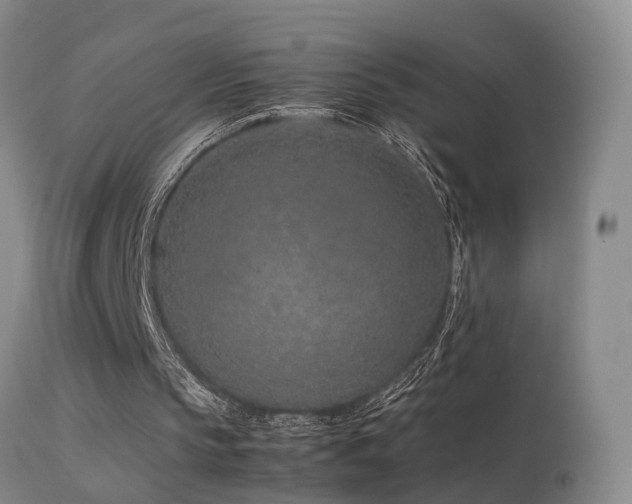 X0000113330145200909141435
