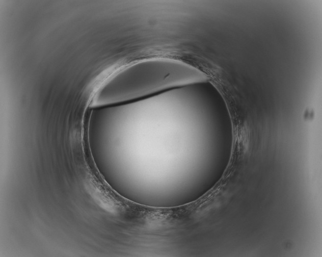 X0000113330148200909141435