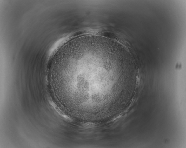 X0000113330149200909141435