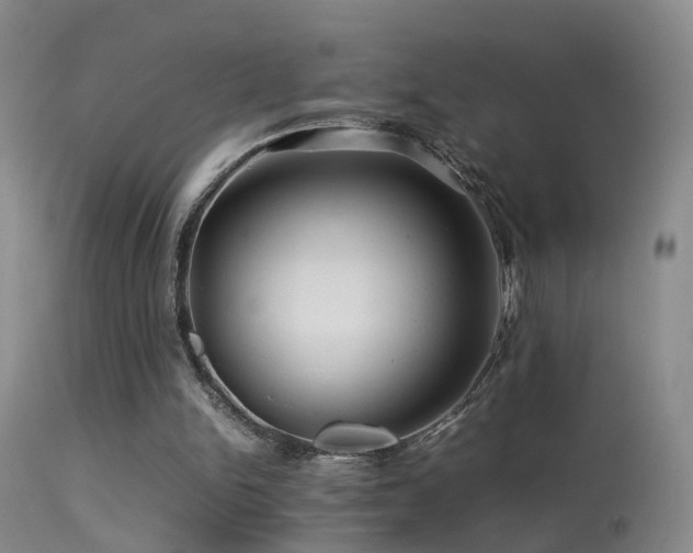 X0000113330150200909141435
