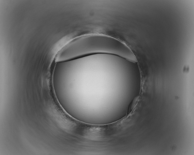 X0000113330152200909141435