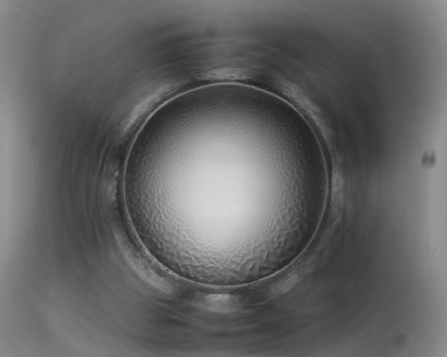 X0000113330153200909141435