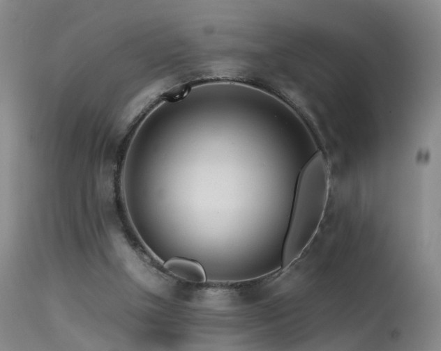 X0000113330154200909141435