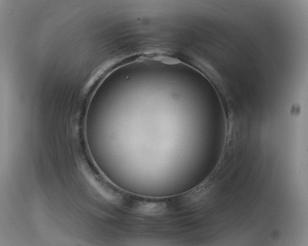 X0000113330155200909141435