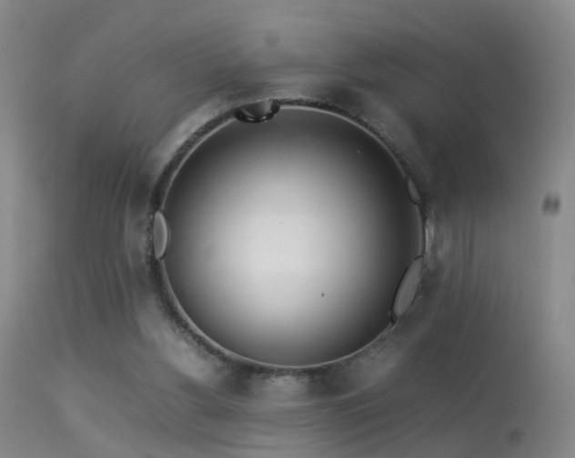 X0000113330156200909141435