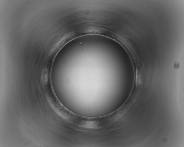 X0000113330157200909141435
