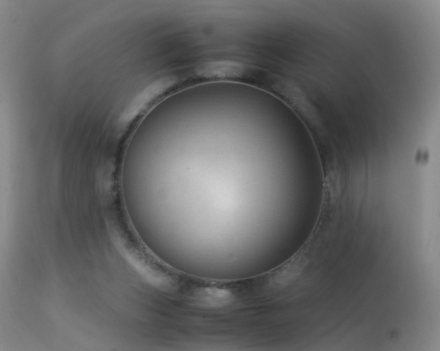 X0000113330159200909141435