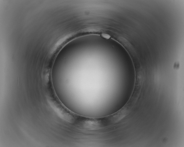 X0000113330160200909141435