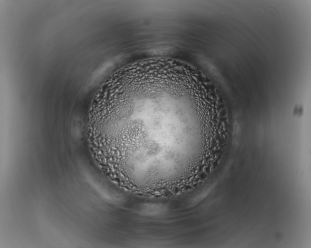 X0000113330161200909141435