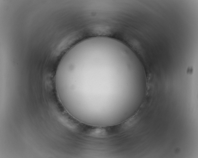 X0000113330162200909141435