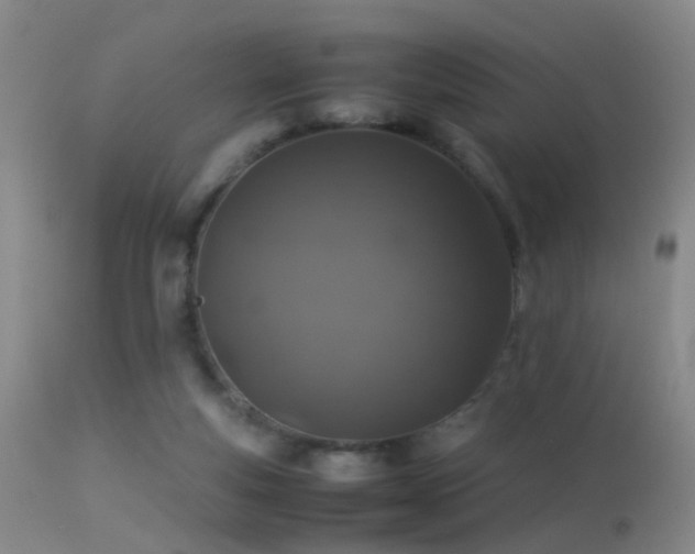 X0000113330163200909141435
