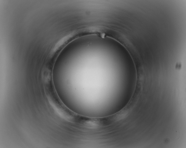 X0000113330164200909141435