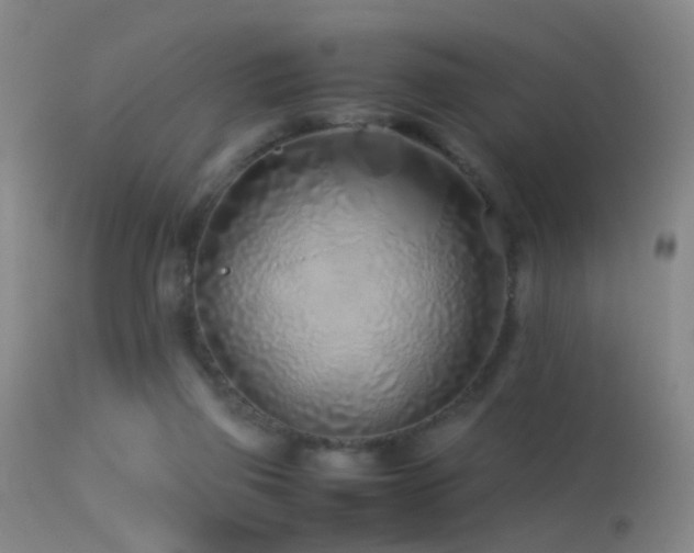 X0000113330165200909141435