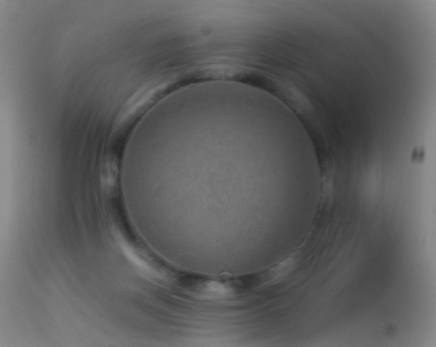 X0000113330166200909141435