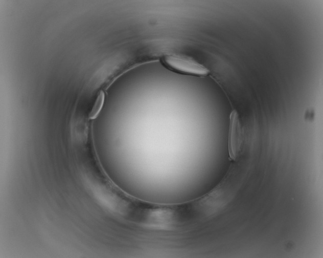 X0000113330168200909141435