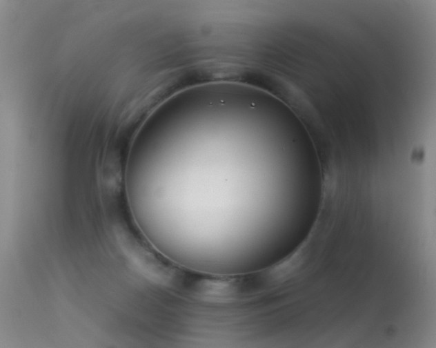 X0000113330170200909141435