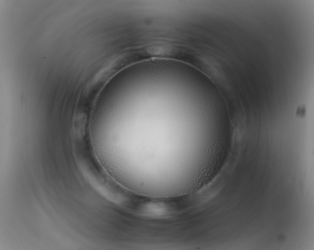 X0000113330171200909141435