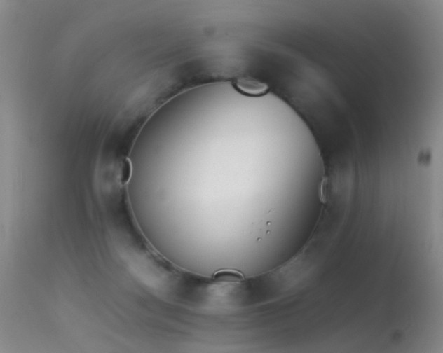 X0000113330172200909141435