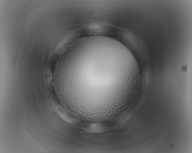 X0000113330173200909141435