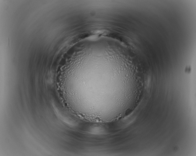X0000113330175200909141435