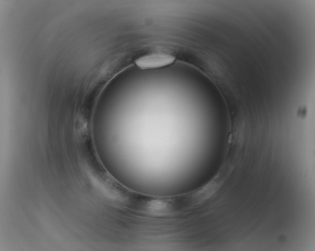 X0000113330176200909141435