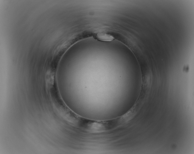X0000113330180200909141435