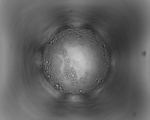 X0000113330181200909141435