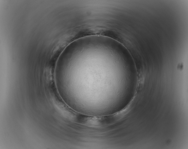 X0000113330182200909141435