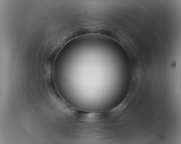 X0000113330184200909141435