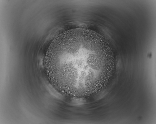 X0000113330185200909141435