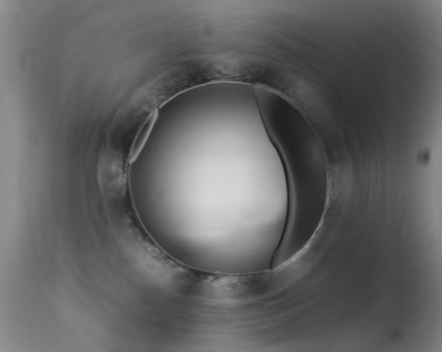X0000113330186200909141435