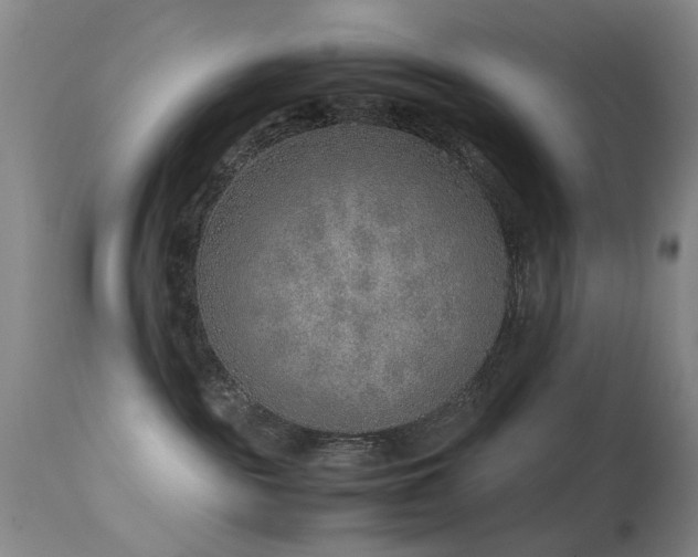 X0000113330189200909141435