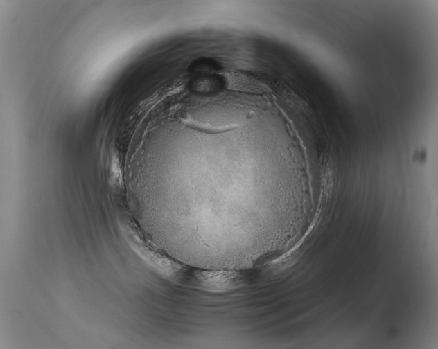 X0000113330191200909141435