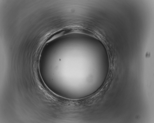 X0000113330193200909141435