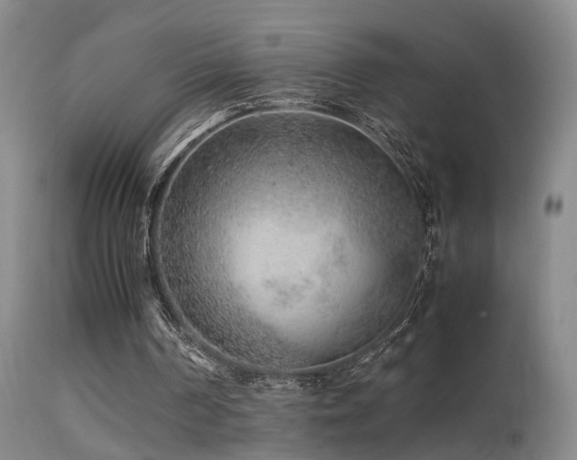 X0000113330194200909141435