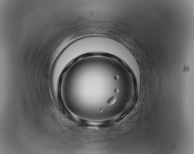 X0000113330195200909141435