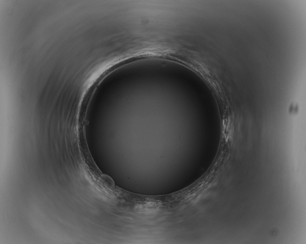 X0000113330196200909141435