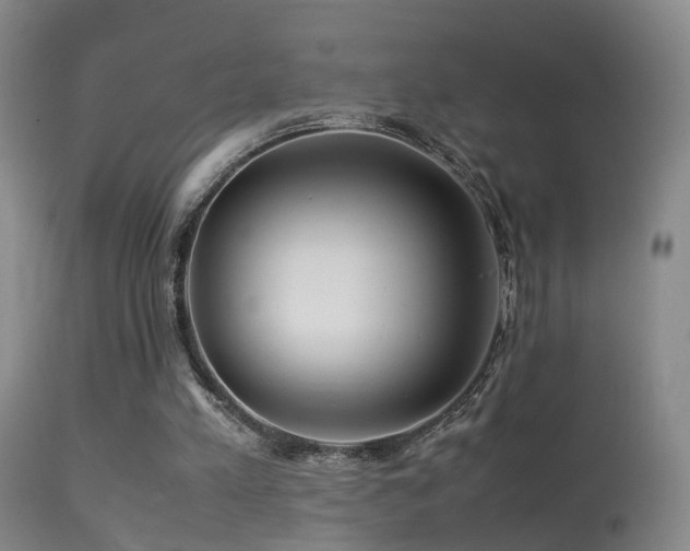 X0000113330197200909141435