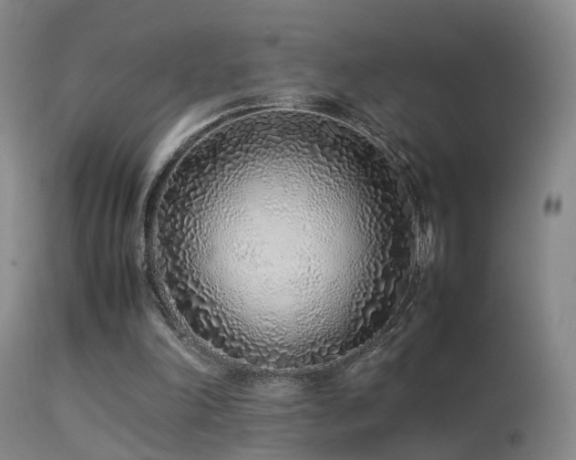X0000113330198200909141435