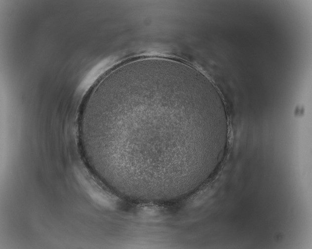 X0000113330199200909141435